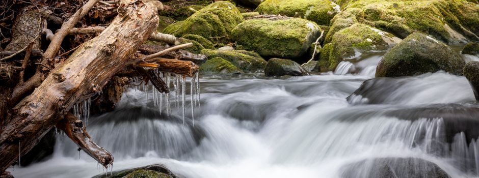 Einladung zur Informationsveranstaltung 
Renaturierung des Serriger Bachs – Gemeinsam für Natur, Hochwasserschutz und Starkregenschutz 