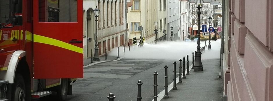 5 kuriose Geschichten, die sich in Mainz ereigneten