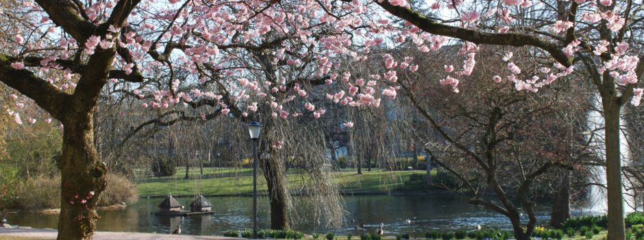 Ist der „Warme Damm“ in Wiesbaden eine Problem-Zone?