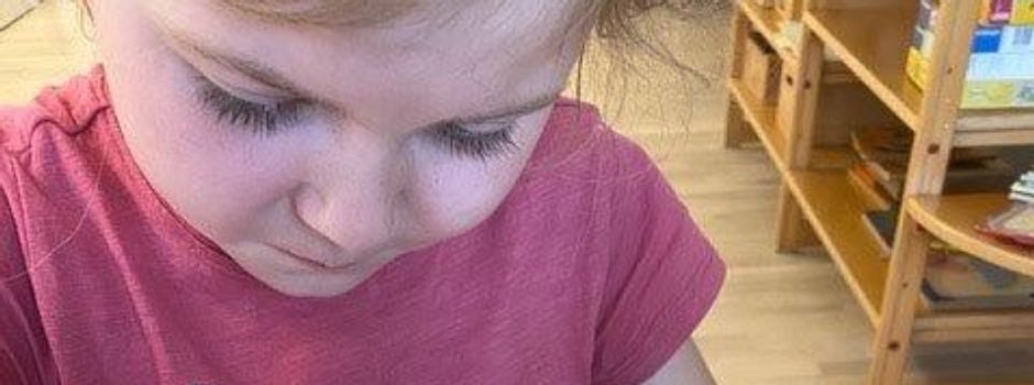 Vom Kleinen zum Großen: Nachhaltigkeit in der Kindertagesstätte Dreilindenstein