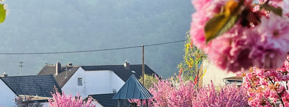 Bastelabend am 9.07.2025