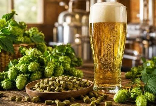 Hopfenfest 2026 in Illschwang