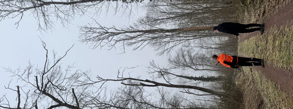 Aktuelle Informationen zum Gemeindewald und Holzernte