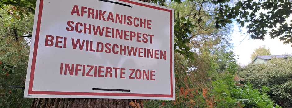 Tierseuche: Sperrzonen zwischen Mainz und Bingen werden verkleinert