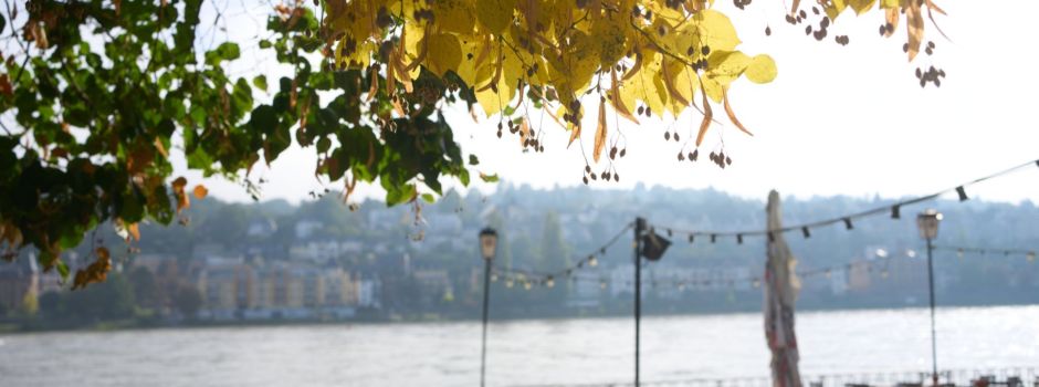 Biergarten-Knigge: Das sollten Gäste in Koblenz und Umgebung beachten