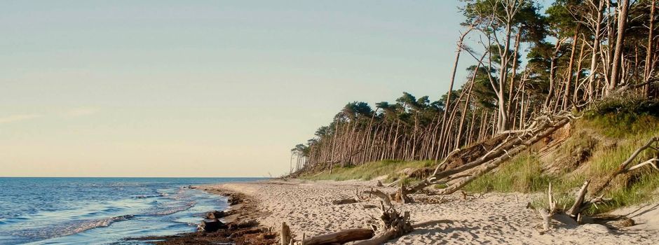Wie soll sich der Tourismus auf Fischland-Darß-Zingst entwickeln?