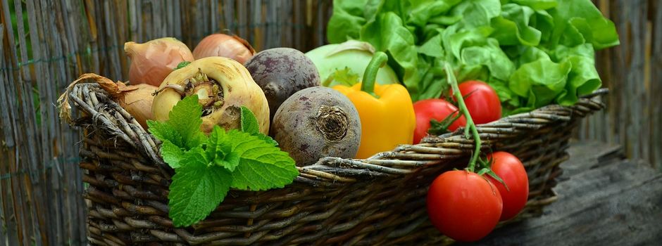 Kochkurs in Empelde: Die vegetarische türkische Küche am 31.01.2024