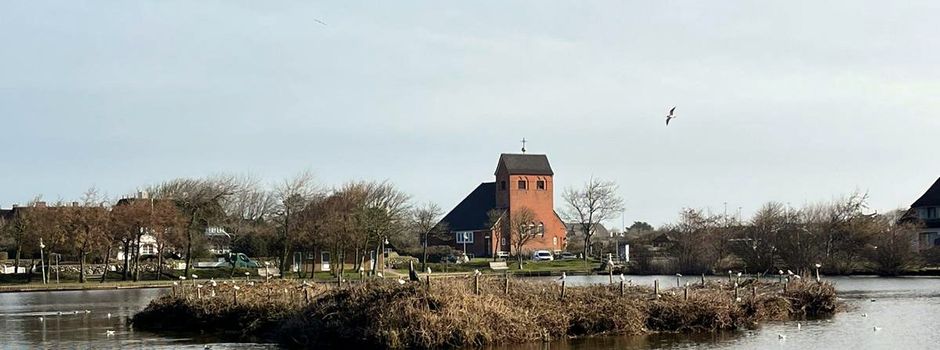 Pflegemaßnahmen der Inseln im Dorfteich 