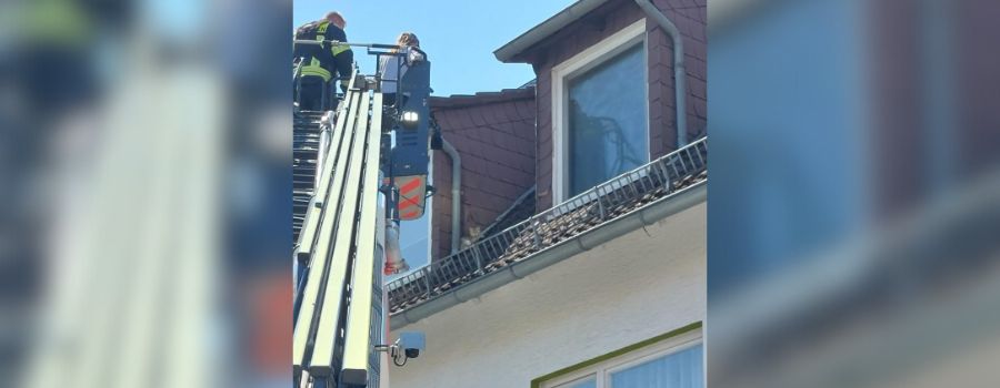 Feuerwehr Wiesbaden rettet Katze von Dach