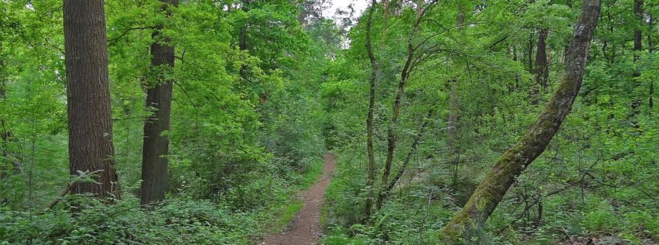 Familienwanderung zum Muttertag