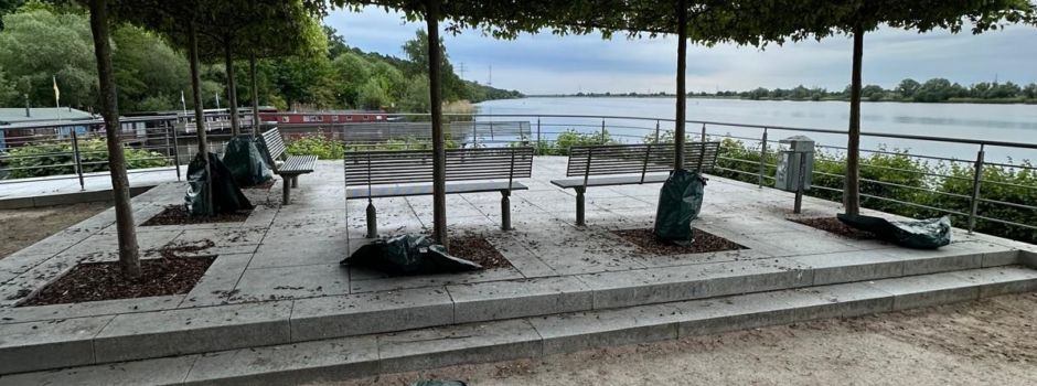 Sie versorgen durstige Bäume: „Wassersäcke“ am Geesthachter Elbblick abgerissen