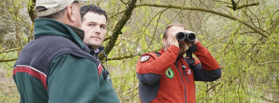 Auf den Spuren des Gänsesägers an der Nied