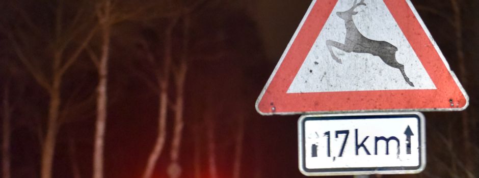 Nach Umstellung auf Winterzeit: Wildunfälle vermeiden!