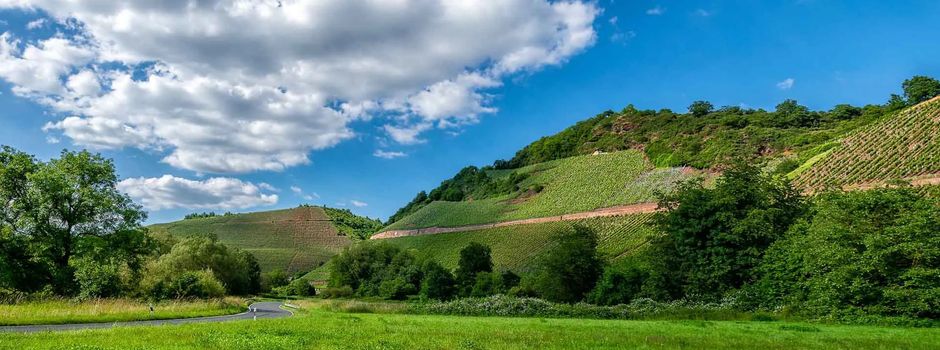 Wiltinger Weinwanderung