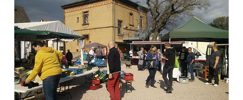 10 Jahre regionaler Genuss: Selzer Wochenmarkt feiert großes Jubiläum