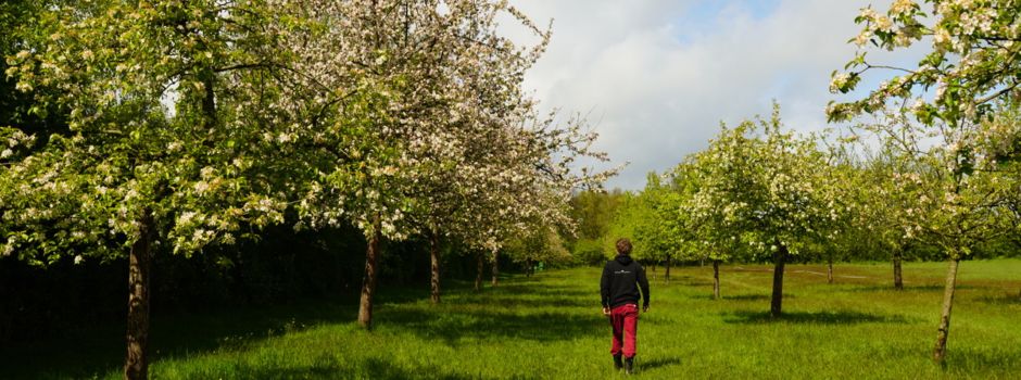 Tag der Streuobstwiese