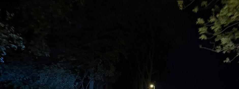 Einsatzmeldung: Baum auf Straße