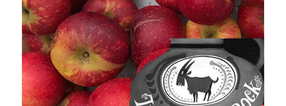 Geselliger Nachmittag für Seniorinnen und Senioren aus Alberode und Germerode