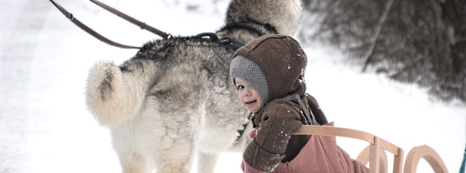 Gewinner des Foto-Wettbewerbs „Mein schönster Winter-Moment“