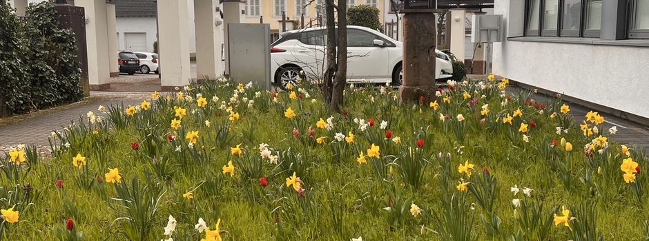 Neuer Bienenfutterautomat am Rathaus