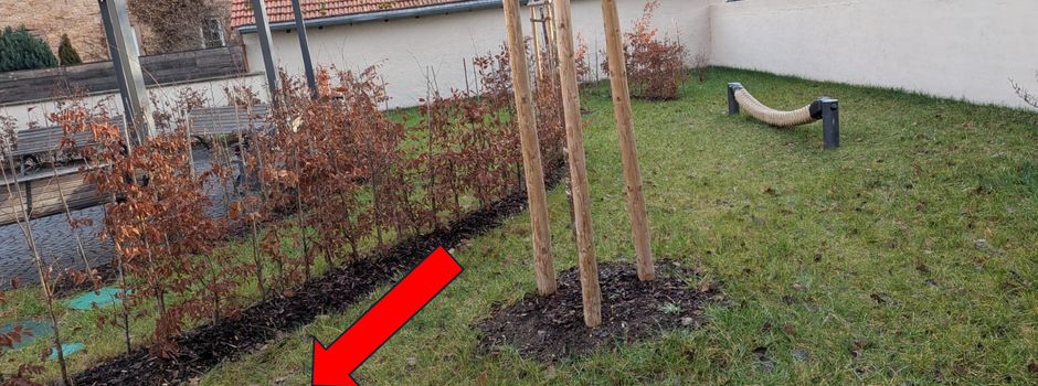 Verschönerungsmaßnahme am Dorfplatz?!