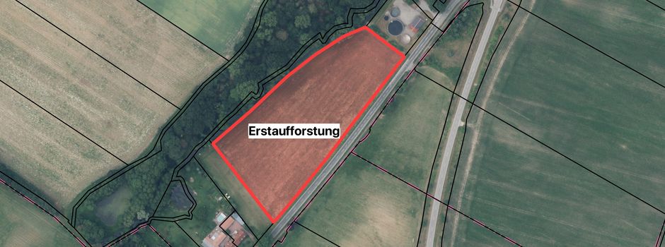 Landesforst M-V plant Aufforstung an der Kläranlage