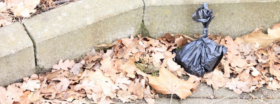 Hundekot: Ein Appell für ein gutes Miteinander