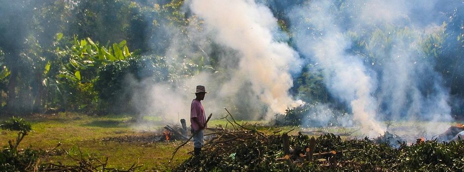 Belästigung durch Rauch