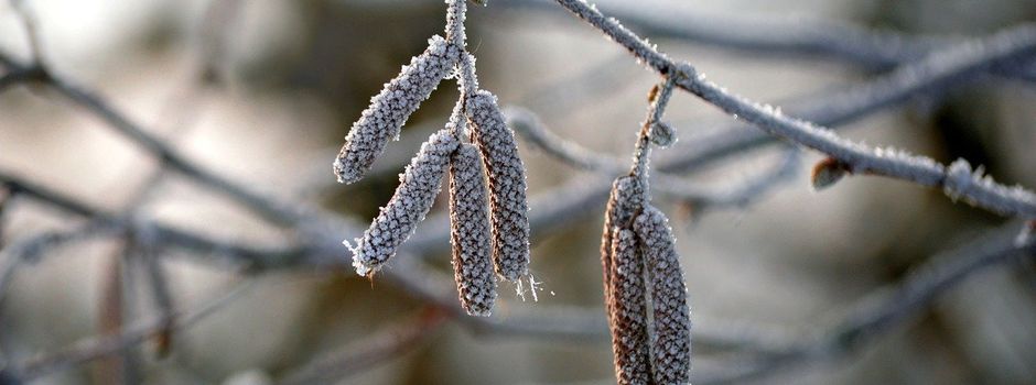 Dreiländerkicker Winterwanderung 2026
