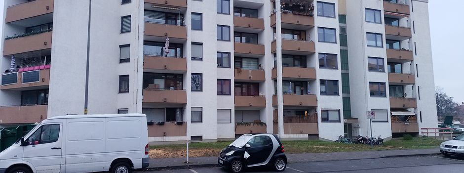 Bäume in Mainz ohne Genehmigung gefällt: Stadt leitet Verfahren ein