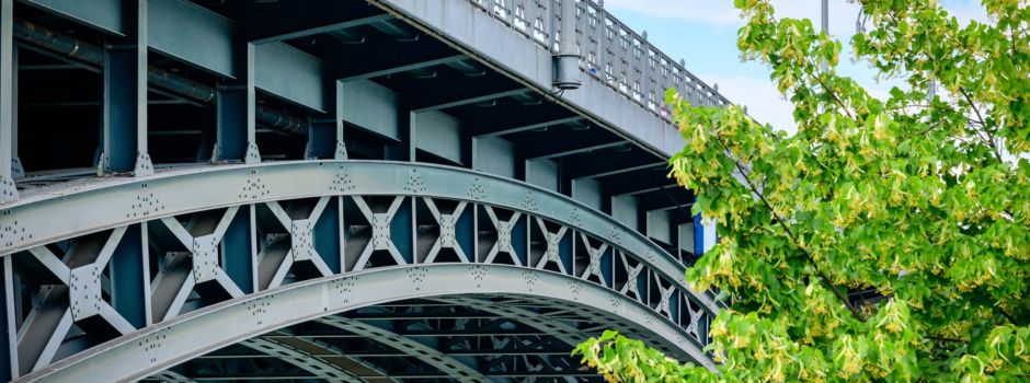 Wohnsitzloser am Mainzer Rheinufer ausgeraubt und geschlagen