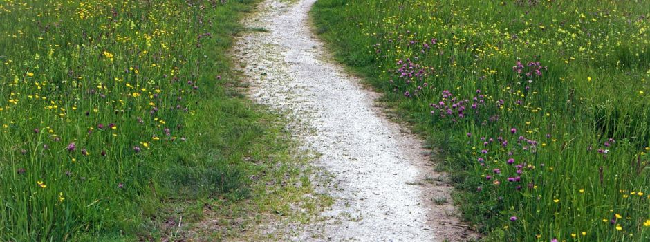 „Familienwandertag“