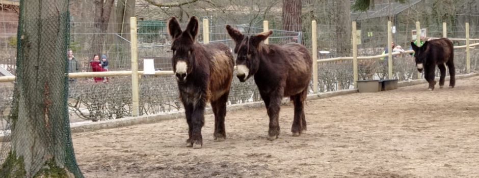 Fasanerie in Wiesbaden eröffnet wieder nach Zwangspause