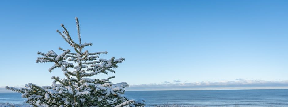 Eine kleine Retrospektive auf den Jahresausklang 2025