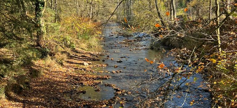 Einladung zur Mitgliederversammlung des Dorfvereins am 30.01.2026