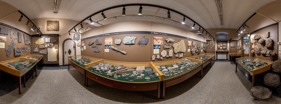 Wie wäre es am Sonntag mit einem Besuch im Paläontologischem Museum in Nierstein?