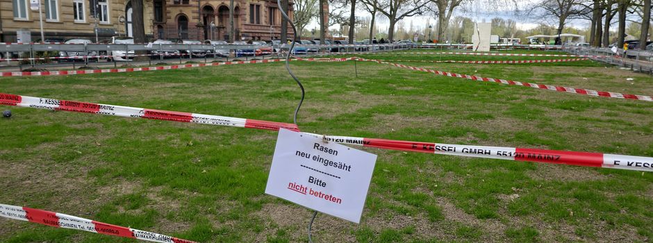 Rasen am Mainzer Fischtor kaputt: Kann erneute Schädigung verhindert werden?