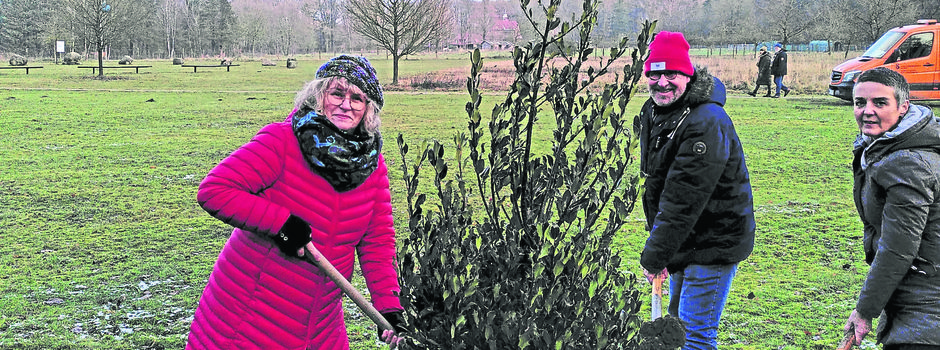 Eine Palme für Schneverdingen