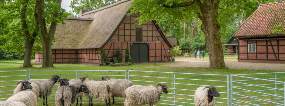 Plattsnacker laden zum Treffen ein