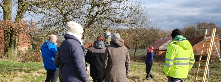 Obstbaumschnitt für Anfänger und Fortgeschrittene