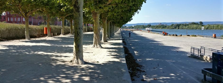 Geldsegen für Mainzer Rheinufer-Sanierung: Wird jetzt entsiegelt?