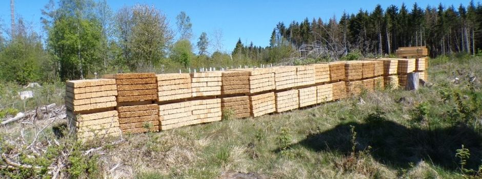 Holz für den Wald
