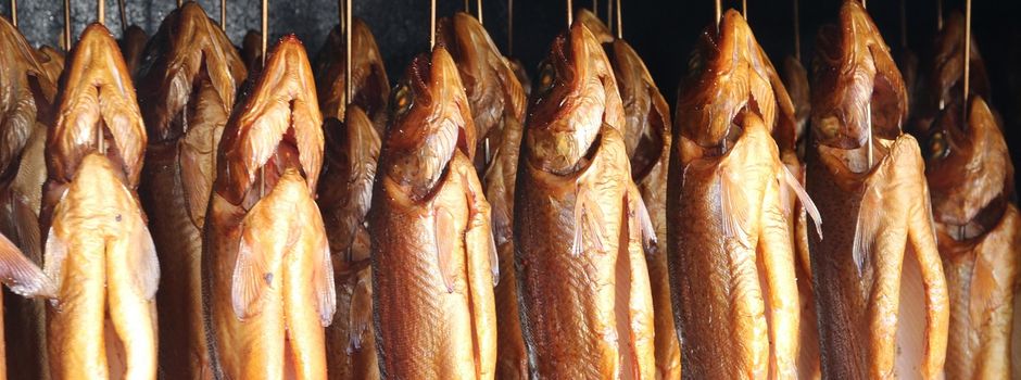 Der IG Fischweiher e.V. räuchert Forellen
