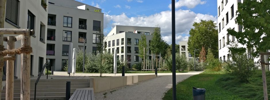 Streit über Fahrpreis in Mainz eskaliert: Autofahrer verletzt