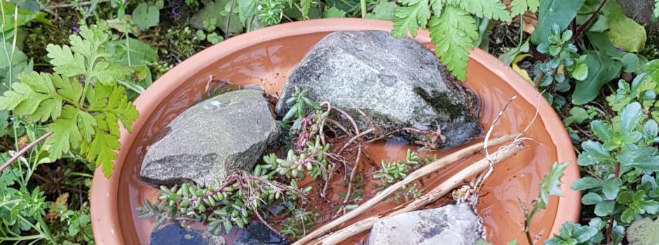 Trinkhilfen für Tiere – Helfen Sie mit!