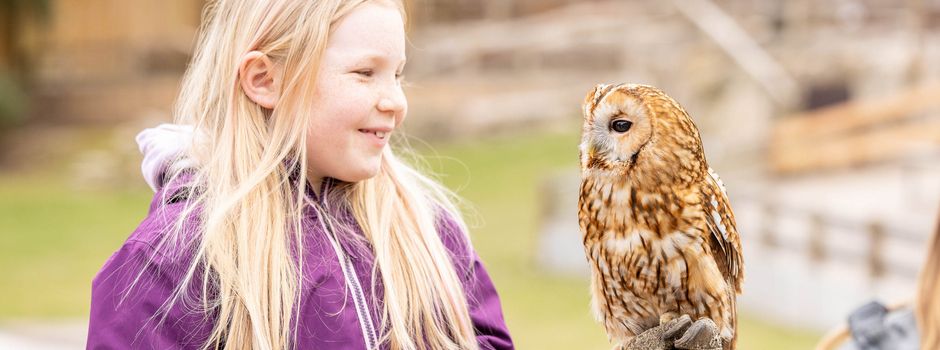 Ferienprogramm im Wildpark