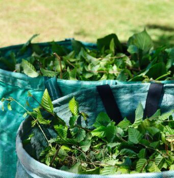 Geänderte Öffnungszeiten GSP