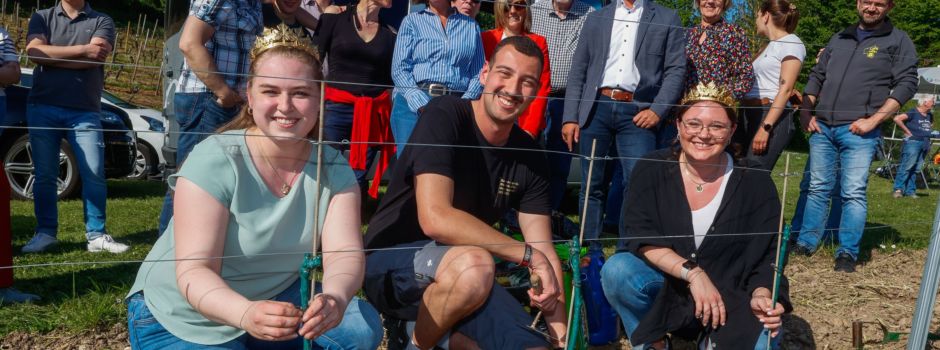 Rheinhessische Weinmajestäten pflanzen Reben in Alzey-Weinheim