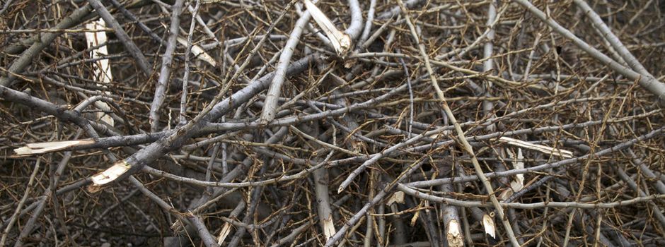 Abgabestelle für Astschnitt/Stammmaterial der Stadt Lollar