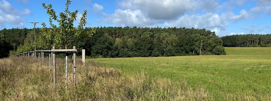 Ökologische Bewirtschaftung der gemeindeeigenen landwirtschaftlichen Flächen 